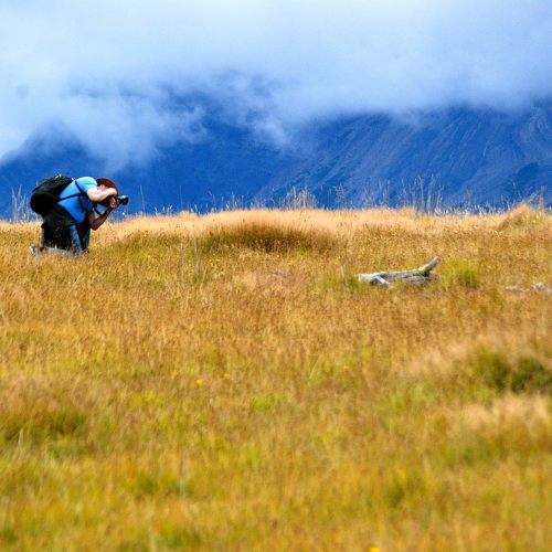 Photo #11356760
