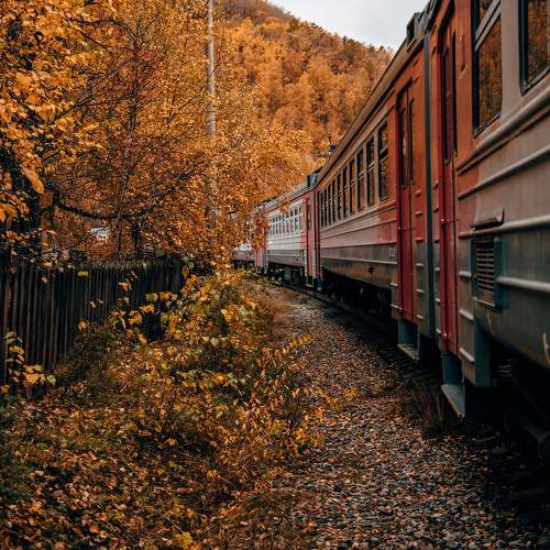 Photo #11357058