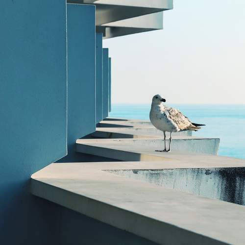 Photo #11357138