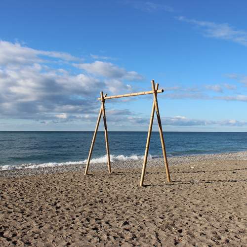 Photo #11357503