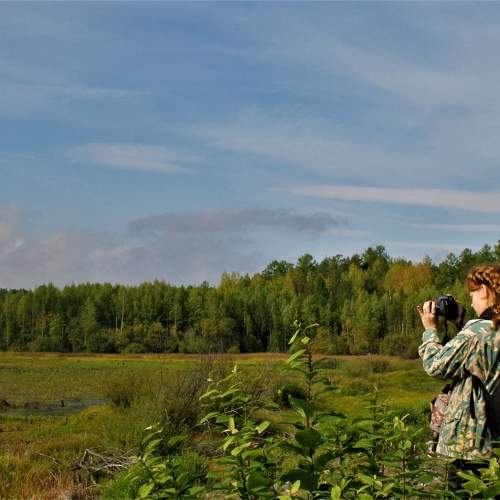 Photo #11357522