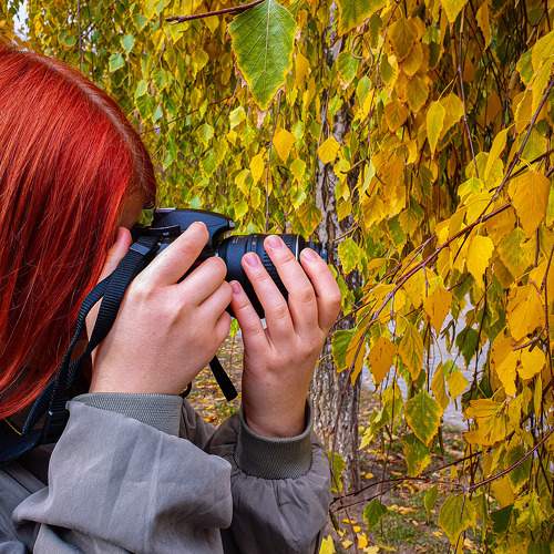 Photo #11357894