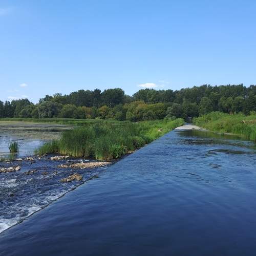 Photo #11357994