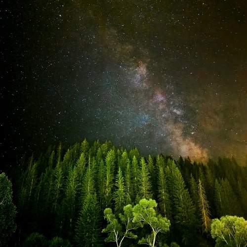 Photo #11357998