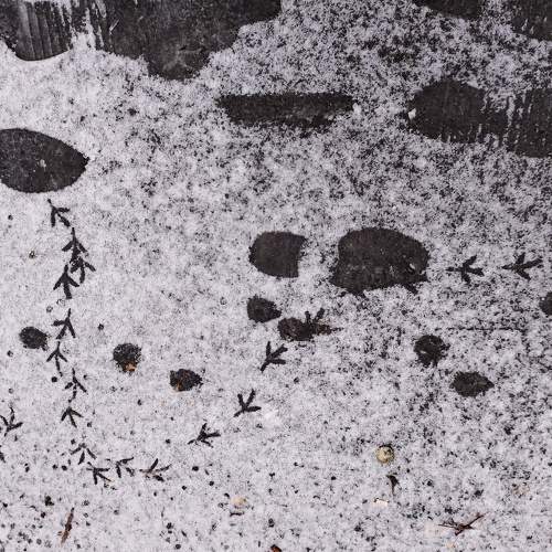 Photo #11358096