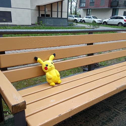 Photo #11358619