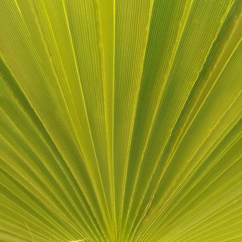 Photo #11358753