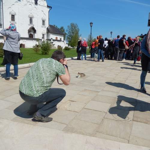 Photo #11358860