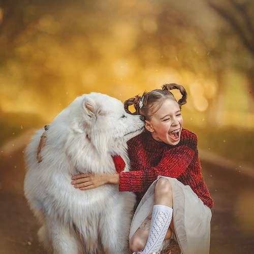 Фотография #11358918