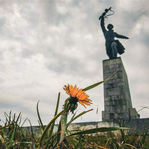 Photo #11358989
