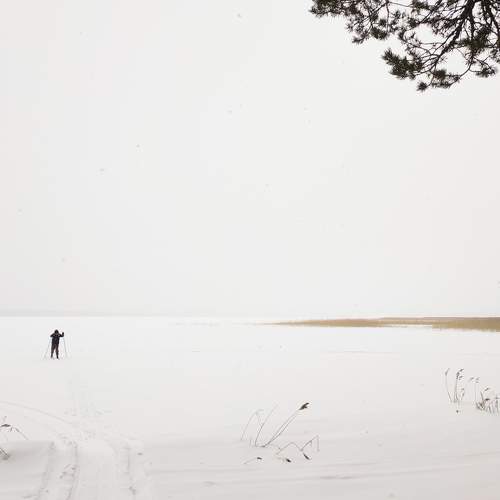 Photo #11358992