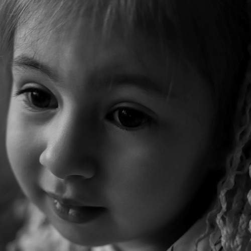 Photo #11359258