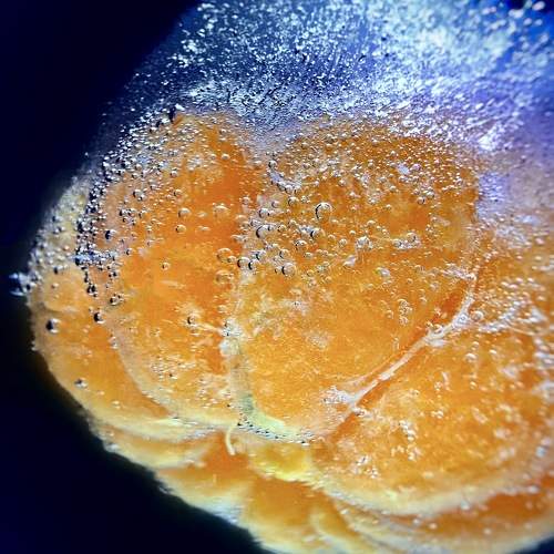 Photo #11359289