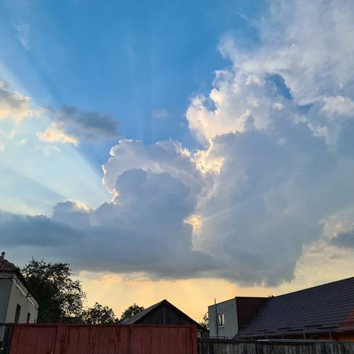 Photo #11359339