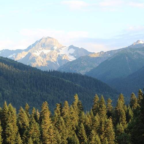 Photo #11359354