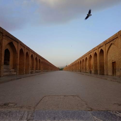 Photo #11359597
