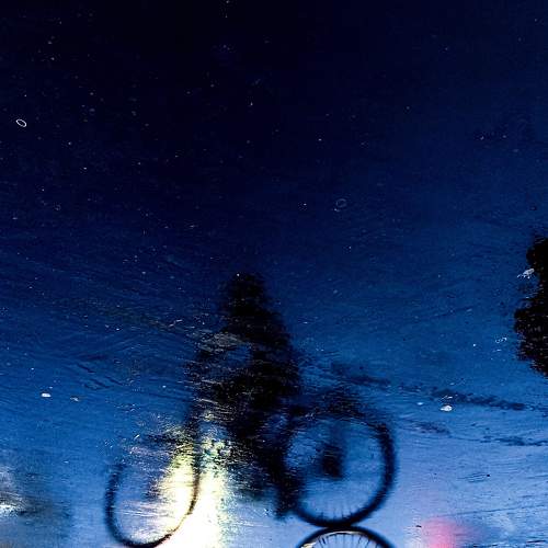 Photo #11359786