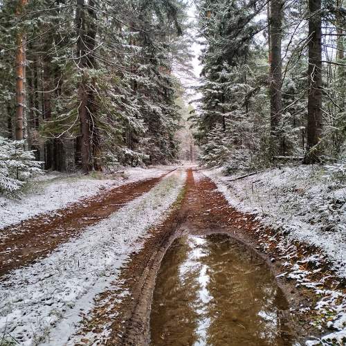 Photo #11359814