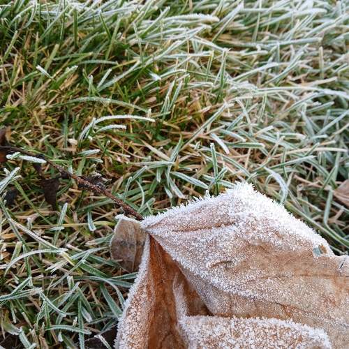 Photo #11359912