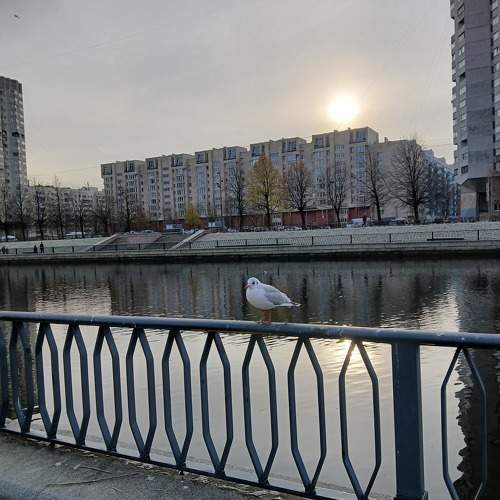 Photo #11359921
