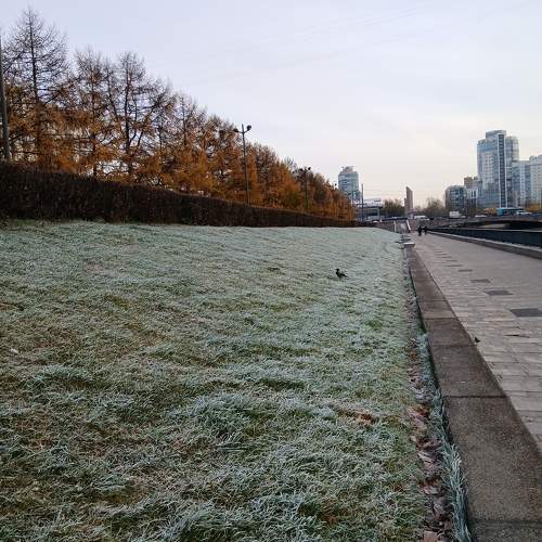 Photo #11359929