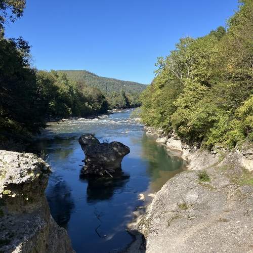 Photo #11360023
