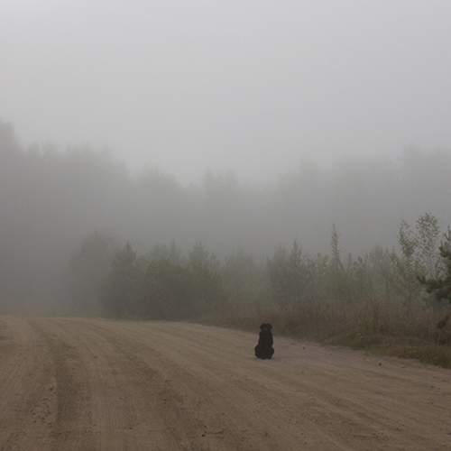 Photo #11360073