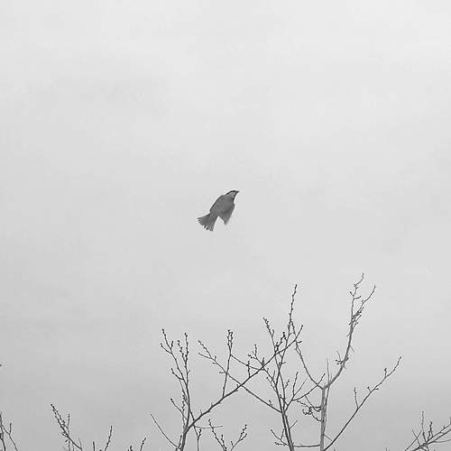 Photo #11360103