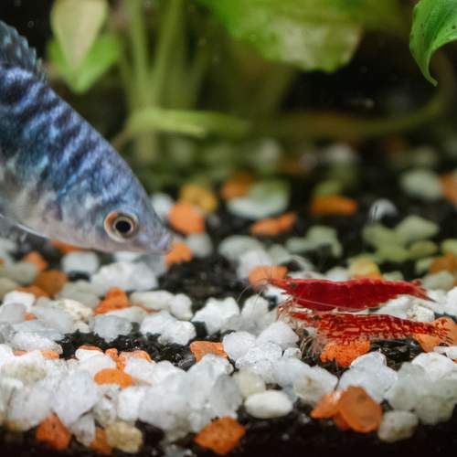 Фотография #11360501