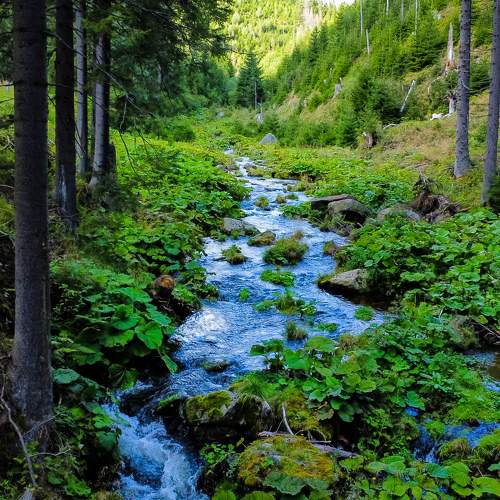Photo #11360738