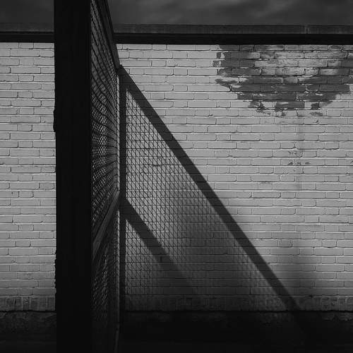 Photo #11360780