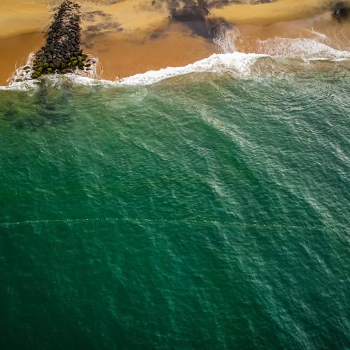 Photo #11360798