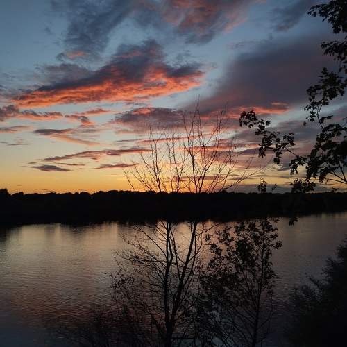 Photo #11360946