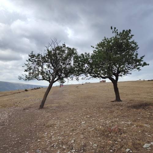 Photo #11360962