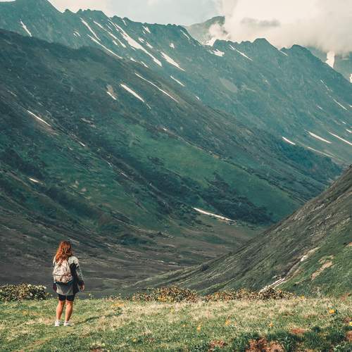 Photo #11361270