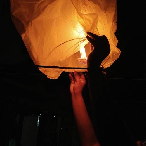 Photo #11361553