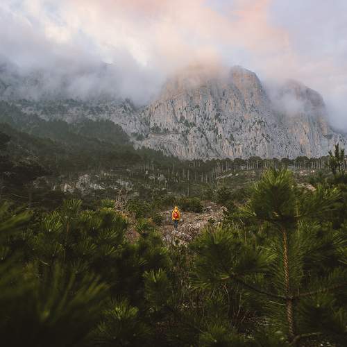 Photo #11362031