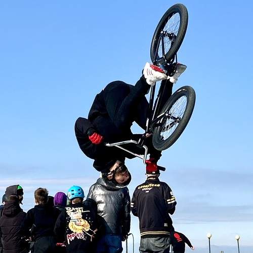 Photo #11362087