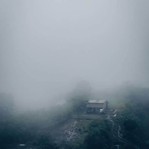 Photo #11362562