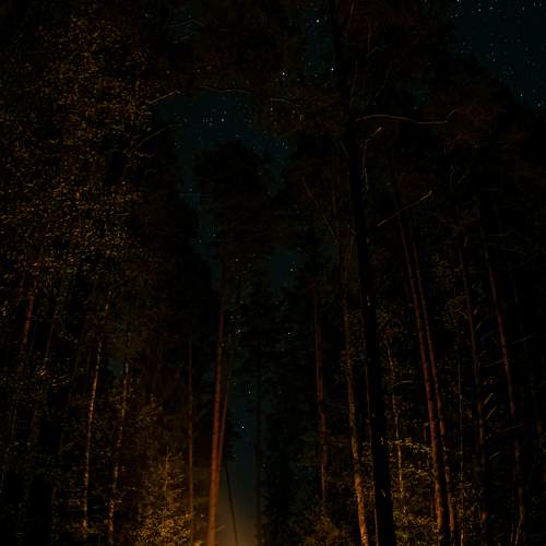 Photo #11362586