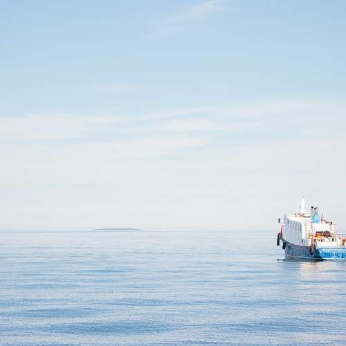 Photo #11362604