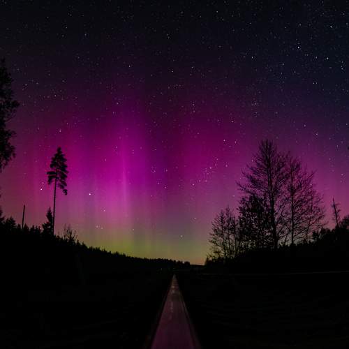 Photo #11362672