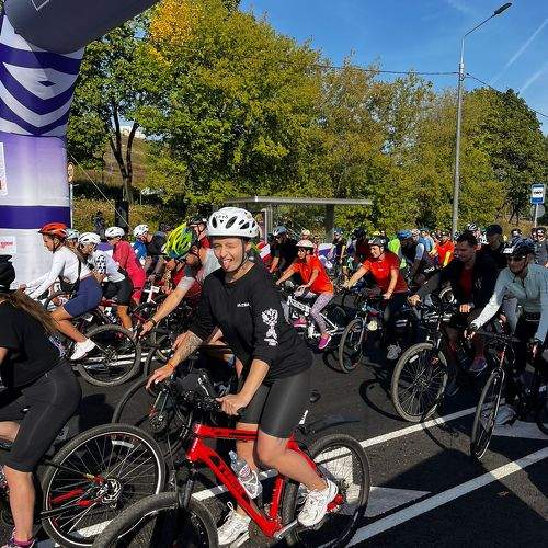 Photo #11362839