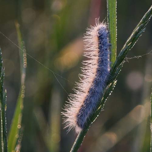 Photo #11362865