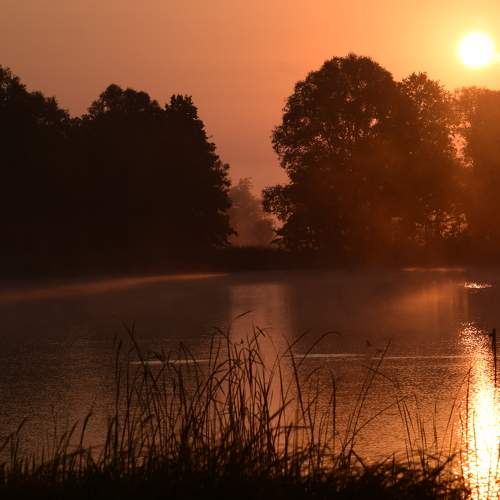 Photo #11362877