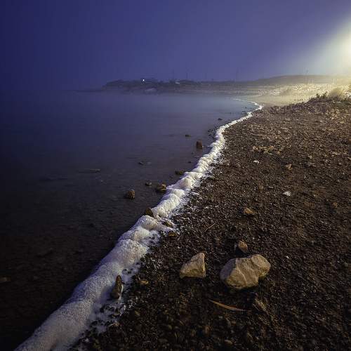 Photo #11362958