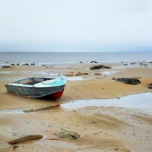 Фотография #11363354