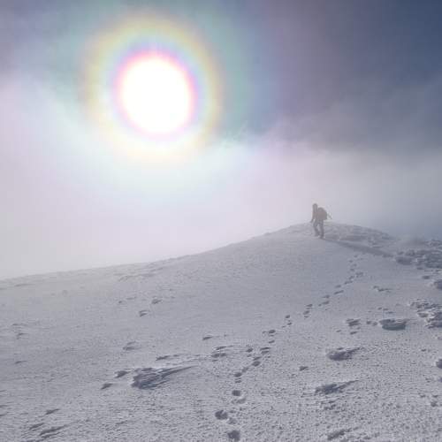 Photo #11363566