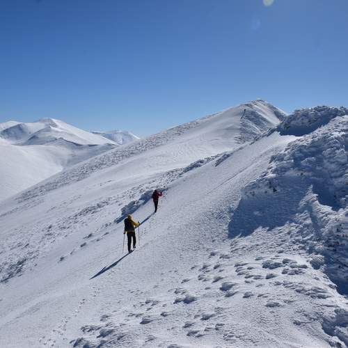 Photo #11363598