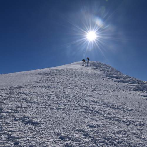 Photo #11363607